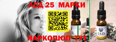 прущие крисы Абакан
