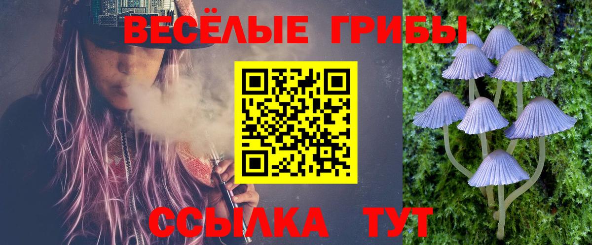 Галлюциногенные грибы Magic Shrooms Алейск