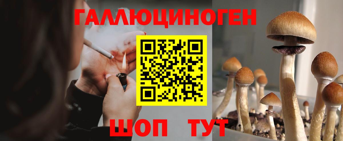 Алейск  Псилоцибиновые грибы MAGIC MUSHROOMS  Вход с VPN 